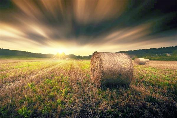 韩子萱清纯又性感